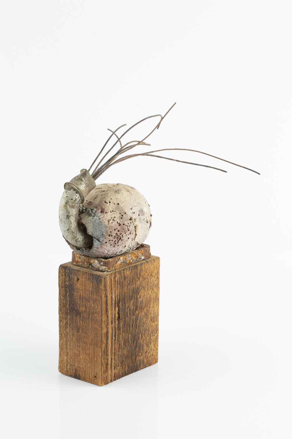 Manner of Gillian Lowndes (1936-2010) Shell form sculpture mixed media with wire 22cm high.