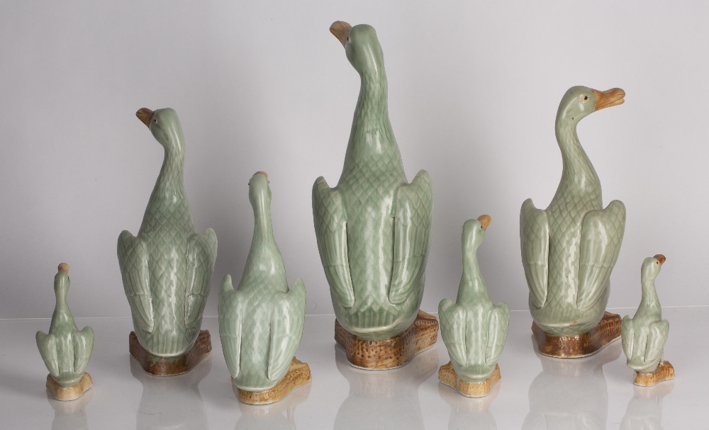 Graduated group of celadon porcelain model ducks Chinese, 20th Century largest 31cm, smallest - Image 2 of 3