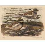 Robert Hainard (1906-1999) Two little ringed plovers, coloured woodcut, print, signed in pencil