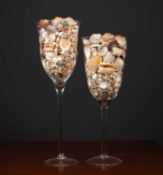 Two large glass vases filled with shells, the tallest 68cm highCondition report: In good condition