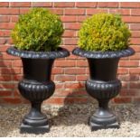 A pair of Victorian black painted cast iron urns of campana form with egg and dart decoration and