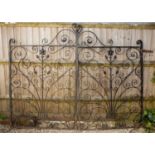 A pair of decorative black painted wrought iron garden or driveway gates decorated with scrolls