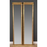 A pair of antique tall narrow gilt pier mirrors with moulded ornament, each 51.5cm wide x 213cm high