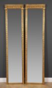 A pair of antique tall narrow gilt pier mirrors with moulded ornament, each 51.5cm wide x 213cm high
