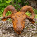 A horned cast iron goats head for wall mounting, approximately 40cm wide x 33cm highCondition