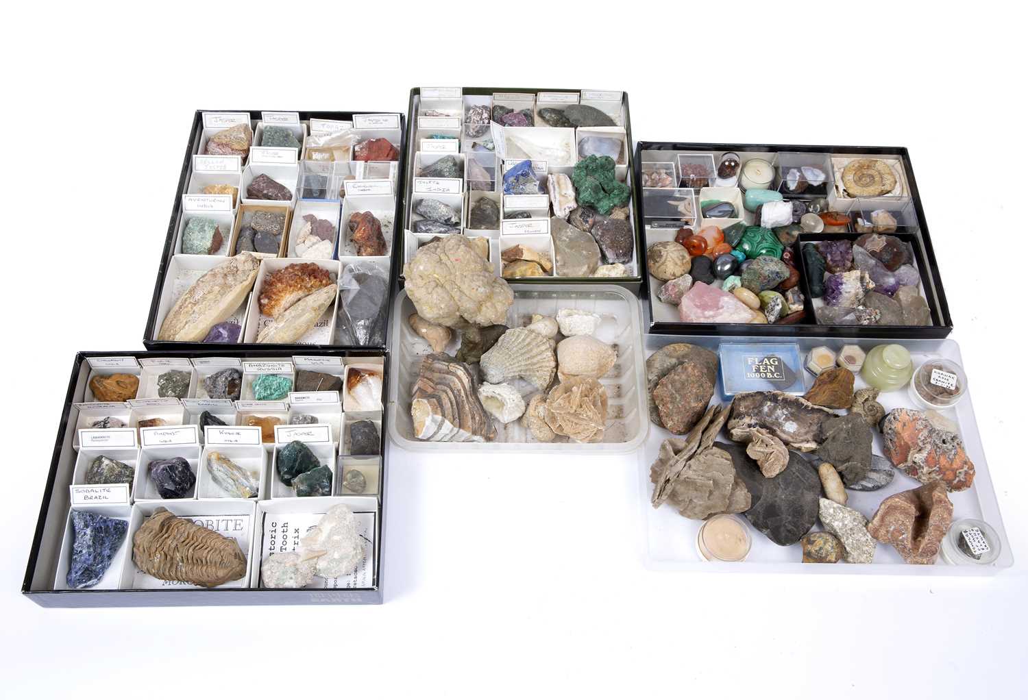 A large collection of Geological and Mineral Specimens, Agates etc., some polished and labelled,