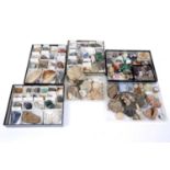 A large collection of Geological and Mineral Specimens, Agates etc., some polished and labelled,