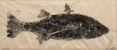 Edith Miller (20th Century School) 'Gyotaku' ink on paper, signed lower right, 10cm x