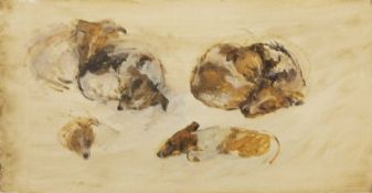 Carolyn Sergeant (1937-2018) 'Study of jack russell terriers' oil on board, unsigned, 24cm x 46.