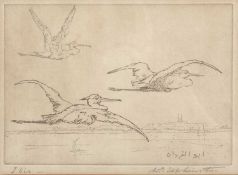 * * Elphinstone (20th Century) 'Ibis' drypoint etching, signed in pencil lower right, 17cm x