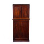 Mahogany collectors or specimen cabinet containing a large collection of shells, minerals and