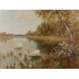 James Townshend (19th/20th Century English School) 'Untitled river with swans' oil on panel,