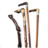 Group of walking sticks to include a hoof topped wooden stick with a silver mount 90.5cm, two horn