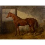 Attributed to Charles Hancock (1802-1877) 'Untitled study of a racehorse' oil on canvas, unsigned,