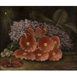 Oliver Clare (1853-1927) 'Still life study of purple and red flowers' oil on panel, signed lower