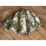 Large clam shell garden ornament with moss covering, approximately 70cm wideCondition report: At