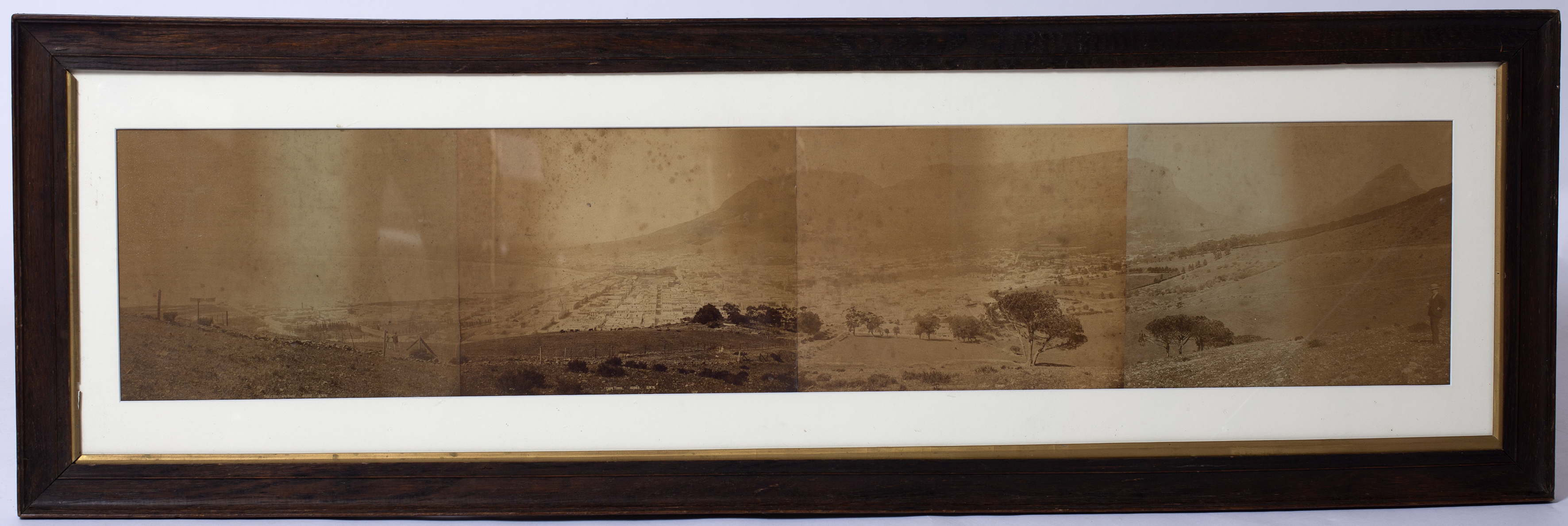 A panoramic framed photograph view of Cape Town c1900, four images glued down and framed, 112 x - Image 3 of 4