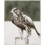 Bryan Organ (b.1935) Hawk, lithograph, pencil signed in the margin and numbered 130/175, 28 x 23cm