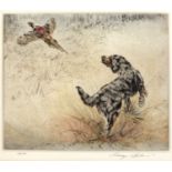 Henry Wilkinson (1921-2011) A Gordon Setter and pheasant, etching, pencil signed in the margin and