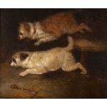 Circle of George Armfield (1808-1893) Two terriers ratting in a barn, oil on canvas, 24 x 29cm