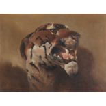 J * T * B * (19th century) A tiger head, signed with monogram and dated '96, oil on canvas, 44 x