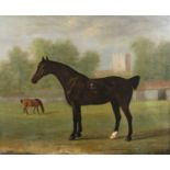 Francis Sartorius (1734-1804) Portrait of a bay hunter in a paddock with distant church, signed