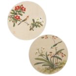 Chinese School Pair of circular watercolour studies of birds and blossom, signed in red seal 'Yi