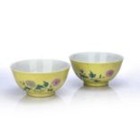 Pair of yellow glazed bowls Chinese, 19th Century decorated with flowering branches set against