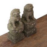 Pair of marble Buddhist lions Chinese, 18th/19th Century seated on a rectangular base, with their