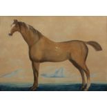 Circle of Shaikh Muhammed Amir of Karraya (c.1830-1850) watercolour study of a bay horse, with