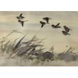 Japanese School Birds in flight, watercolour, unsigned, 44cm x 63cmCondition report: Generally