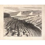Paul Nash (1889-1946) The Strange Coast, 1920 lithograph 38 x 51cm, unframed.Condition report: The