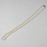 A single strand cultured pearl necklace,