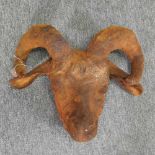 A model of a ram's head