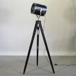 A reproduction stage light