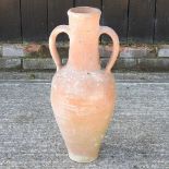 A terracotta amphora garden vase