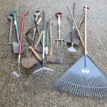 A collection of garden tools