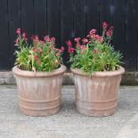 A pair of large terracotta garden pots