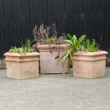 A pair of terracotta planters