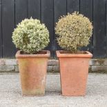 A pair of square terracotta pots