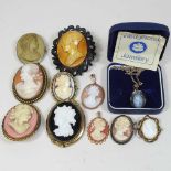 A collection of various cameo brooches
