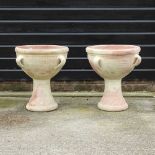 A pair of terracotta garden planters