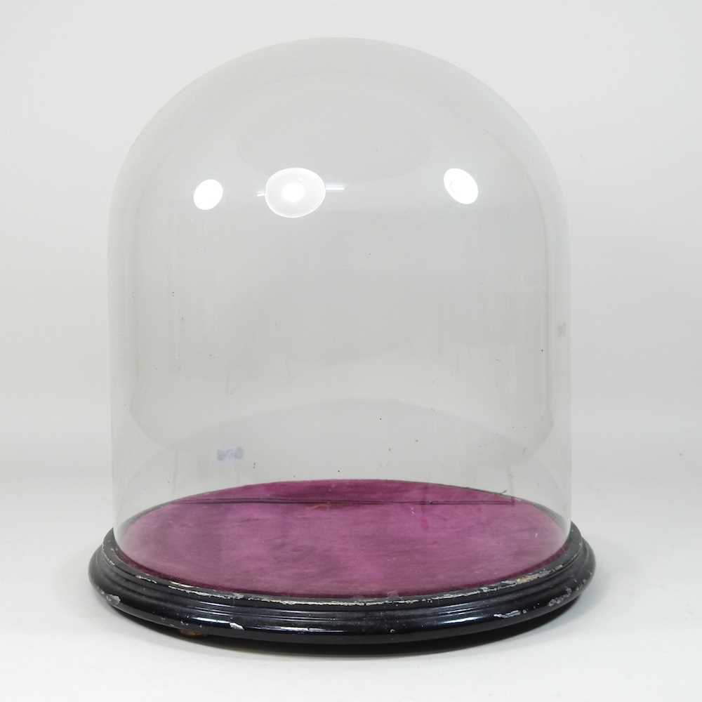 A Victorian glass dome