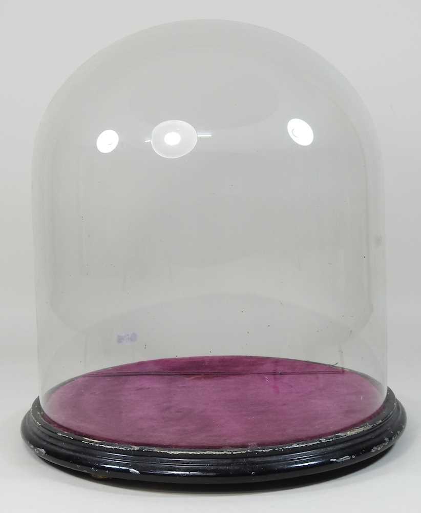 A Victorian glass dome - Image 2 of 5