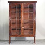 A 19th century mahogany display cabinet