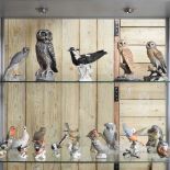 A collection of porcelain bird figures