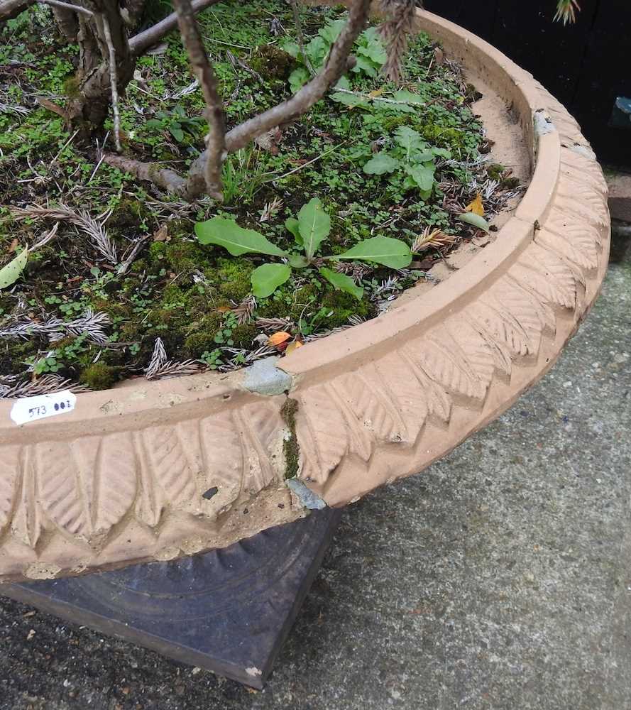 A pair of 19th century terracotta garden planters - Image 5 of 10