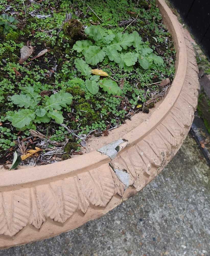 A pair of 19th century terracotta garden planters - Image 6 of 10