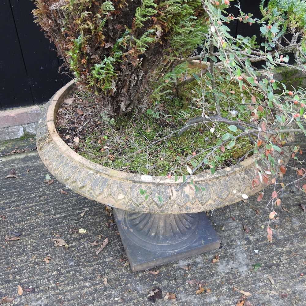 A pair of 19th century terracotta garden planters - Image 9 of 10