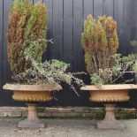 A pair of 19th century terracotta garden planters